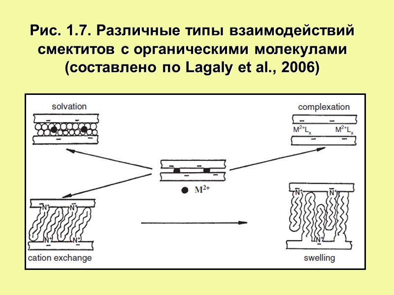 Рис. 1.7. Различные типы взаимодействий  смектитов с органическими молекулами (составлено по Lagaly et